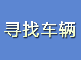 民丰寻找车辆