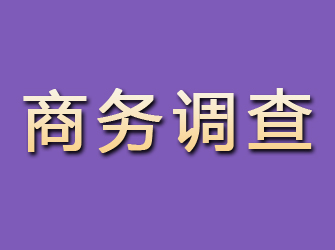 民丰商务调查